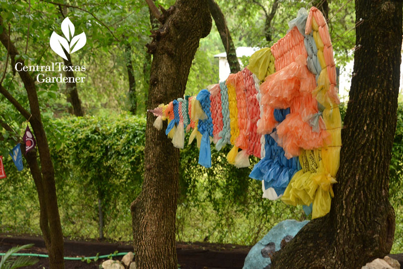 garden weaving between trees Central Texas Gardener