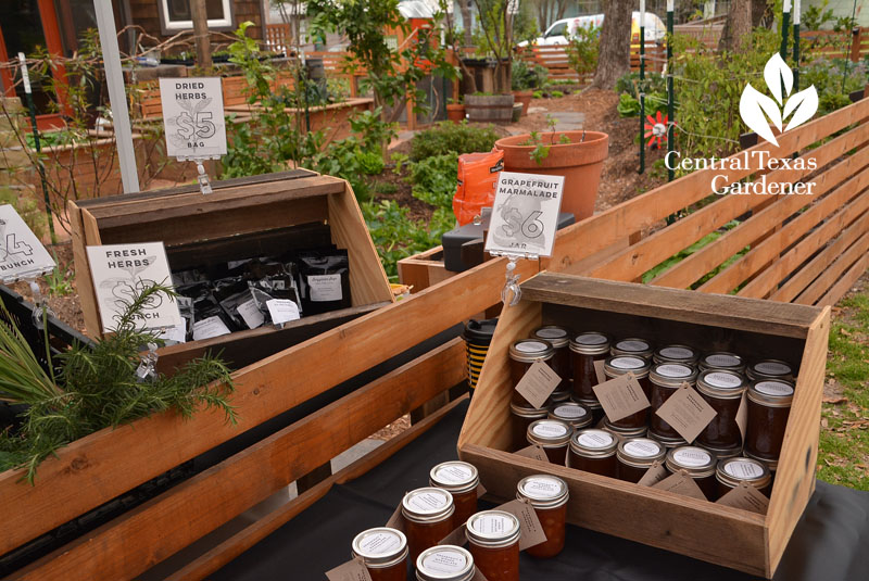 grapefruit marmalade herbs front yard food stand Central Texas Gardener