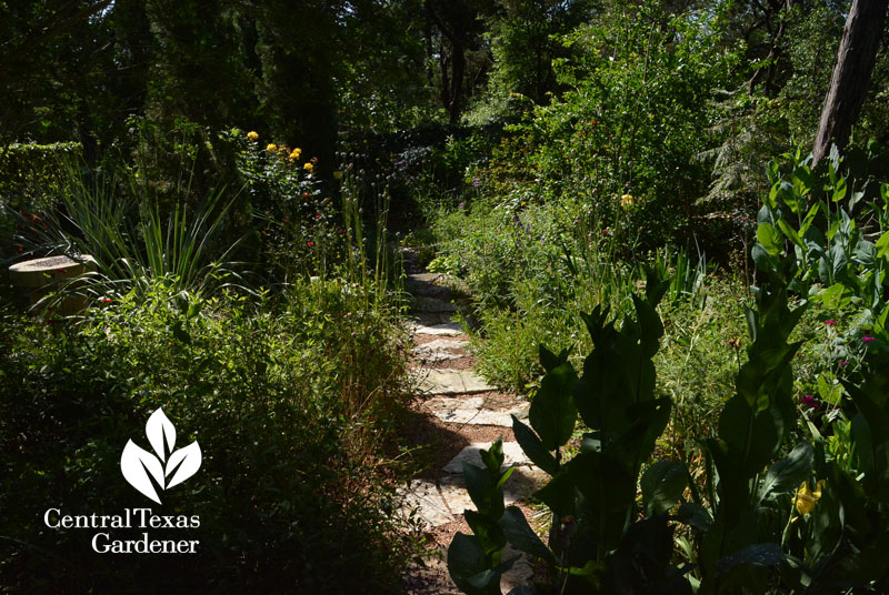 perennial pathway drought garden Central Texas Gardener