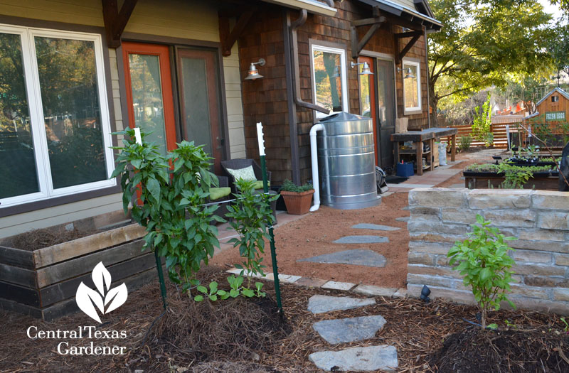 rainwater collection patio front yard food garden Central Texas Gardener