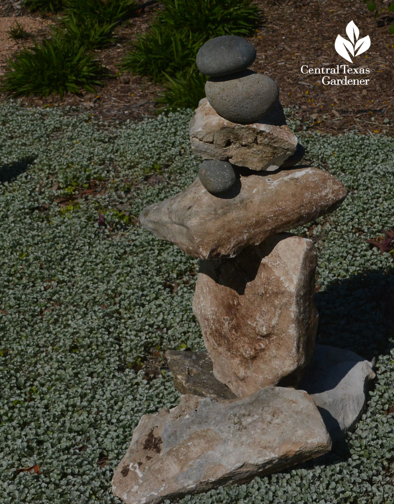 rock sculpture silver ponyfoot Central Texas Gardener