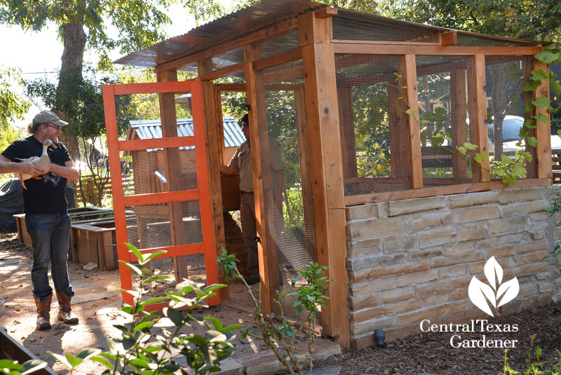 secure duck house front yard garden Central Texas Gardener