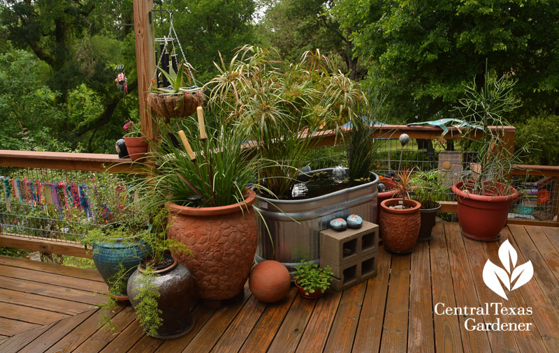 stock pond deck Central Texas Gardener