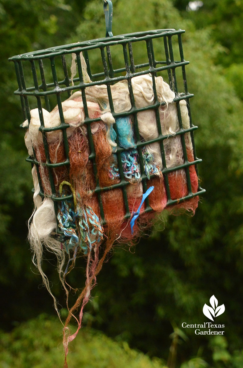 yarn basket for nesting birds Central Texas Gardener