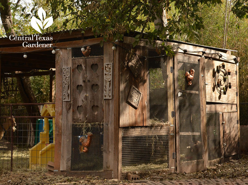 chicken coop and dwarf goat pen Central Texas Gardener