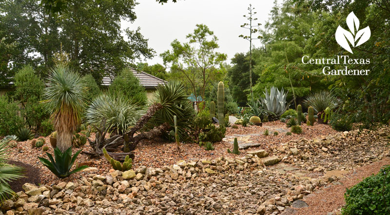 dry creek swale succulent berm garden rainwater control Central Texas Gardener