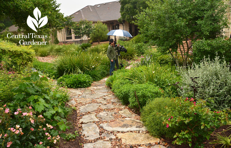 flagstone path through perennial borders Central Texas Gardener