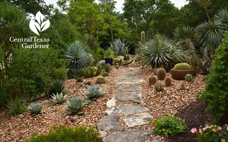 flagstone path to succulent garden Central Texas Gardener