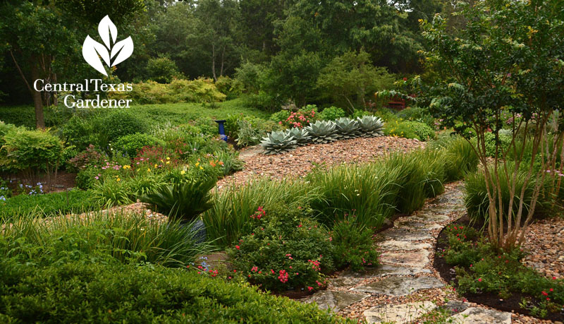 gorgeous water thrifty garden design Central Texas Gardener