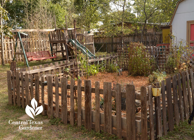 picket fence enclosed vegetable garden Central Texas Gardener