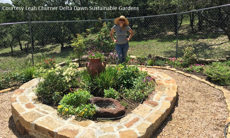 raised garden design Leah Churner Delta Dawn Central Texas Gardener