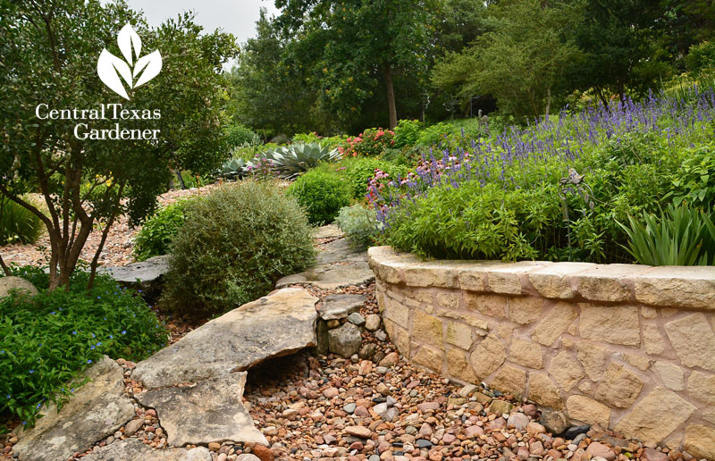 raised planter clustered pollinator perennials dry creek bed Central Texas Gardener