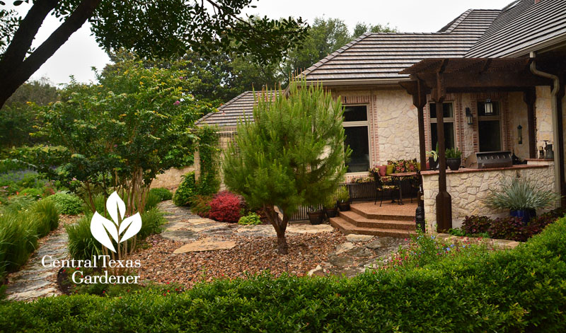 stone pine patio cove Syd Teague garden Central Texas Gardener