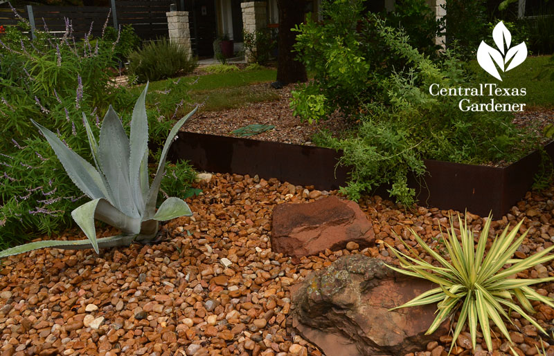 Steel raised beds gravel yuccas agaves Twilley Central Texas Gardener