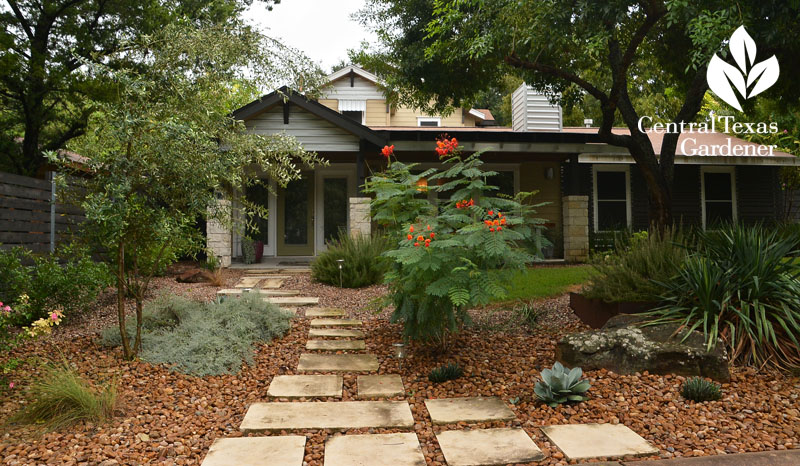 reduced lawn design limestone pads native plants Twilley Central Texas Gardener