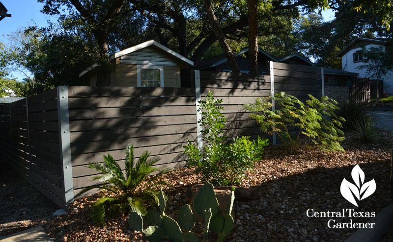 stained fence small native trees gravel Twilley design Central Texas Gardener