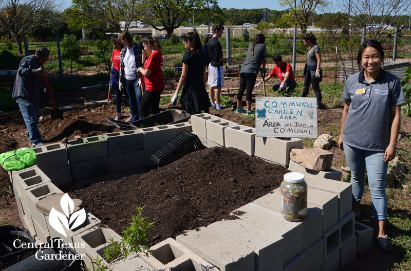 Festival Beach Community Garden Central Texas Gardener