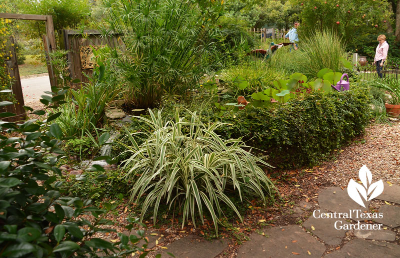 Front yard pond cute street enclosure Central Texas Gardener