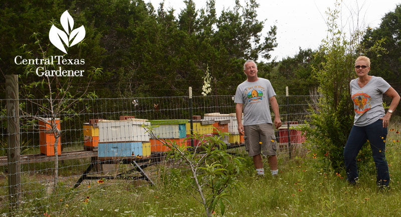 Tanya Phillips Chuck Reburn Bee Friendly Austin Central Texas Gardener