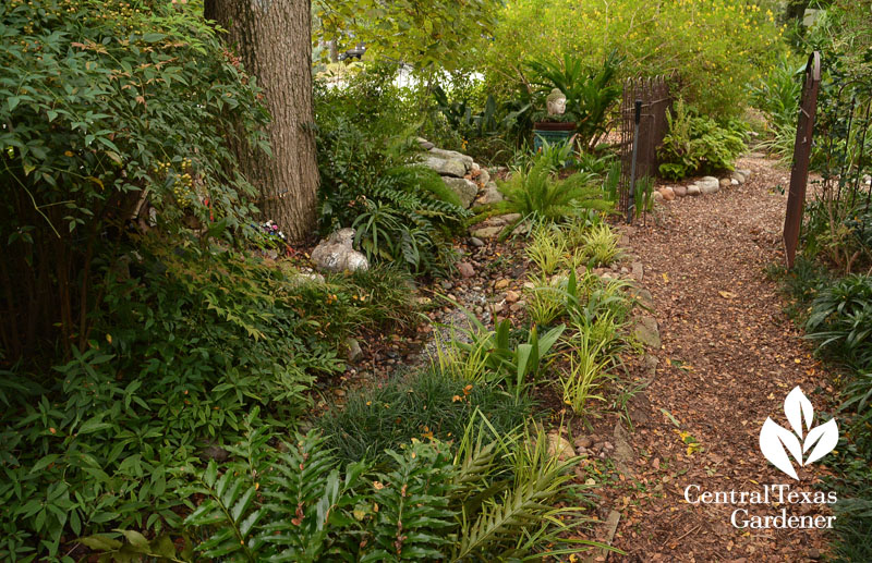 front and backyard stream garden rooms Central Texas Gardener