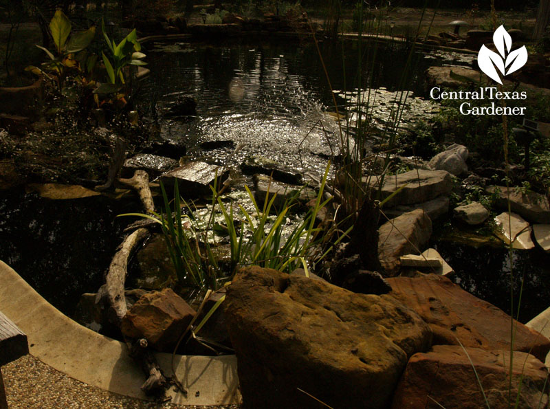 waterfall natural pond Wimberley Central Texas Gardener