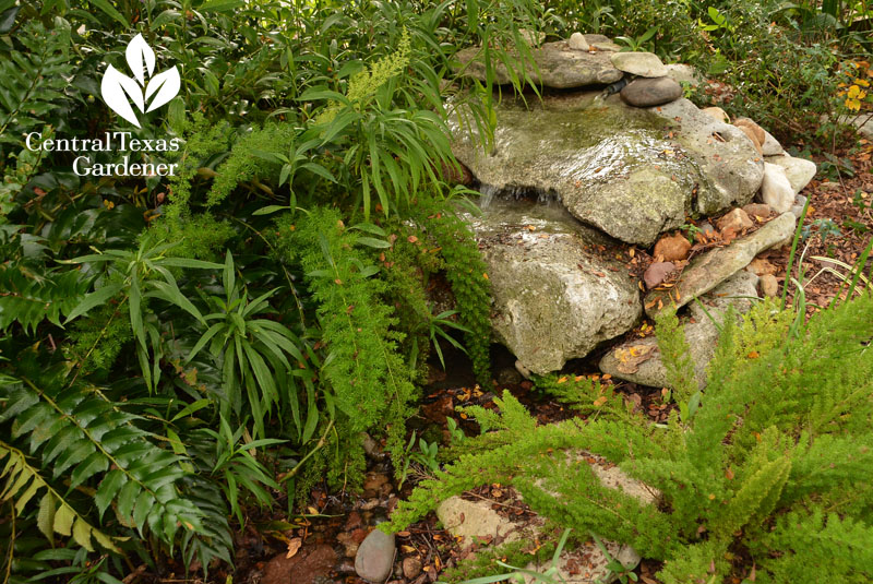 rock waterfall front and backyard stream Central Texas Gardener