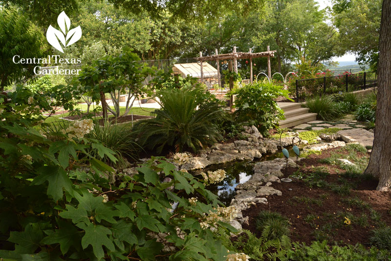 shady front yard stream Central Texas Gardener