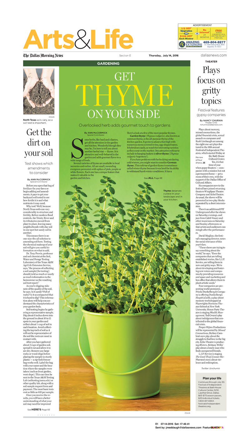 Ann McCormick Dallas Morning News thyme 