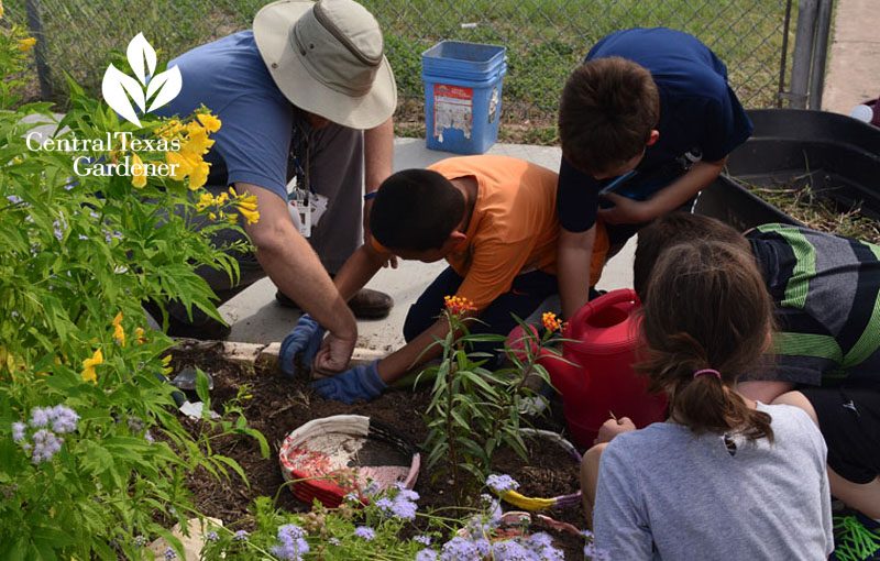 Oak Hill Elementary pollinator garden Central Texas Gardener