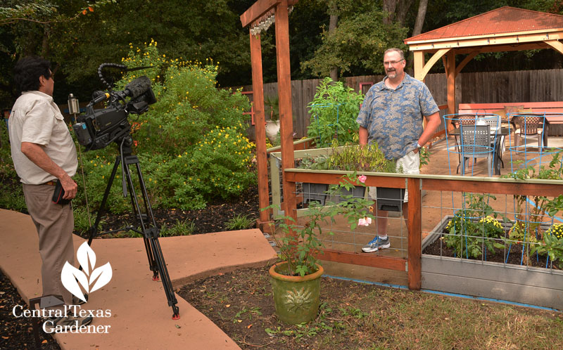 Rick Bickling The How Do Gardener Central Texas Gardener