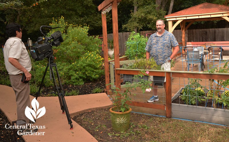 Rick Bickling The How Do Gardener Central Texas Gardener