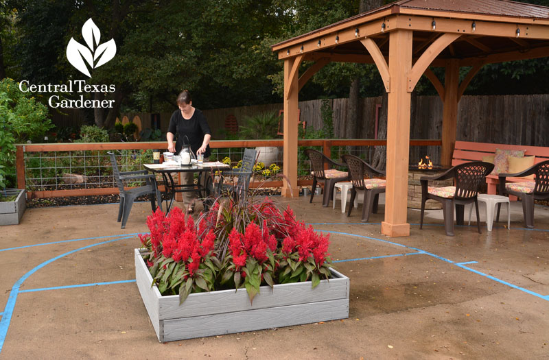 composite raised garden beds on old home basketball court Central Texas Gardener