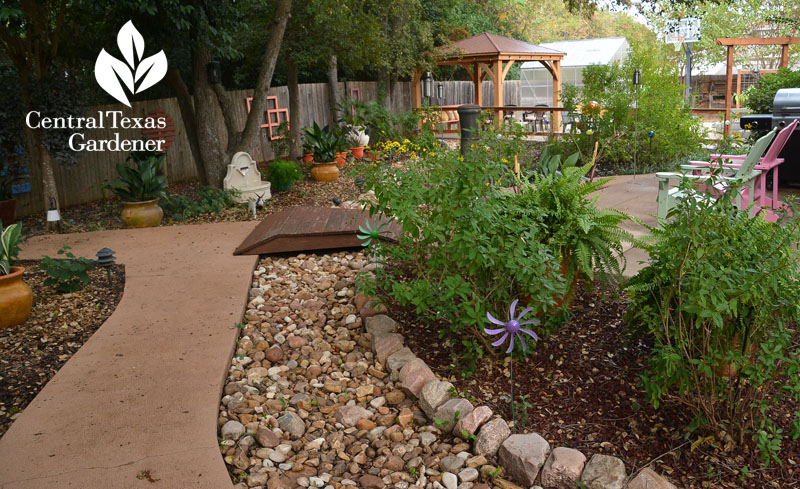 dry creek bed cement walkway shade garden Central Texas Gardener
