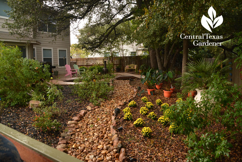 dry creek bed through shade garden Central Texas Gardener