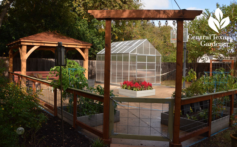 kids basketball court turned into garden Central Texas Gardener