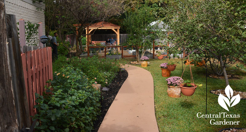 side garden new path fruit trees perennials Central Texas Gardener