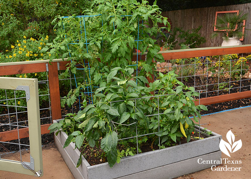 square foot garden composite decking Central Texas Gardener