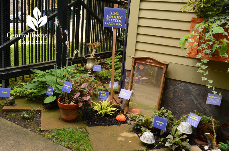 Harry Potter garden plants Jim Charlier Central Texas Gardener