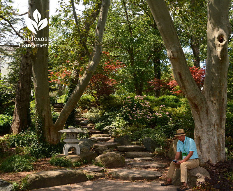 Japanese garden trail Buffalo History Museum Central Texas Gardener