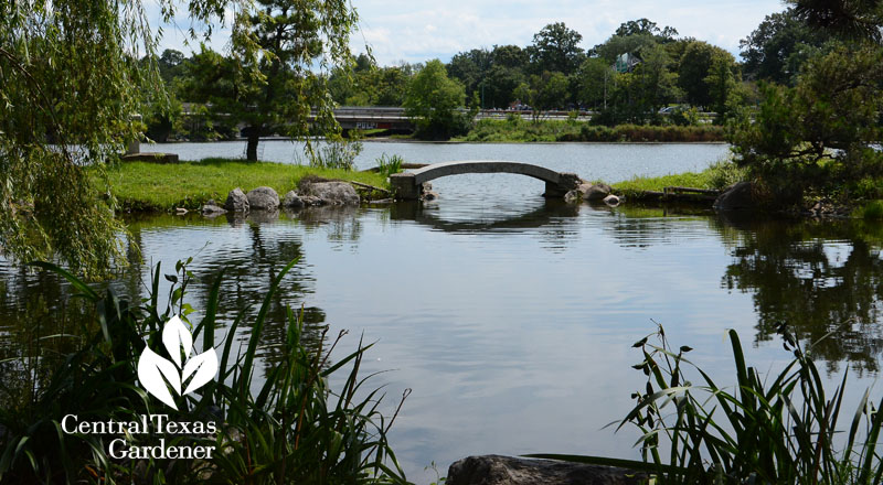 Mirror Lake Japanese bridge Buffalo Central Texas Gardener