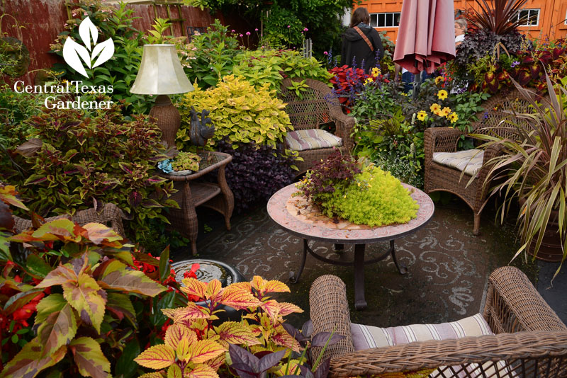 colorful garden outdoor living room Buffalo Central Texas Gardener