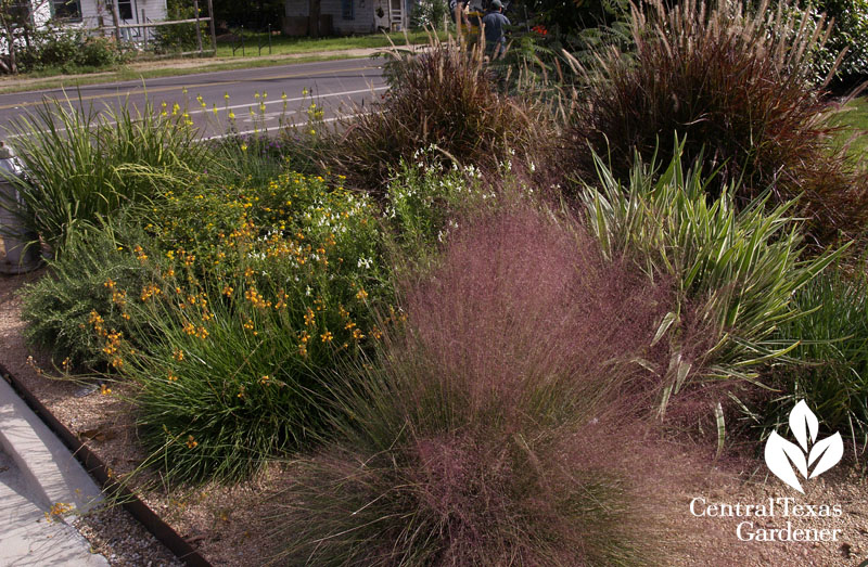 street gardens, curb gardens, east austin