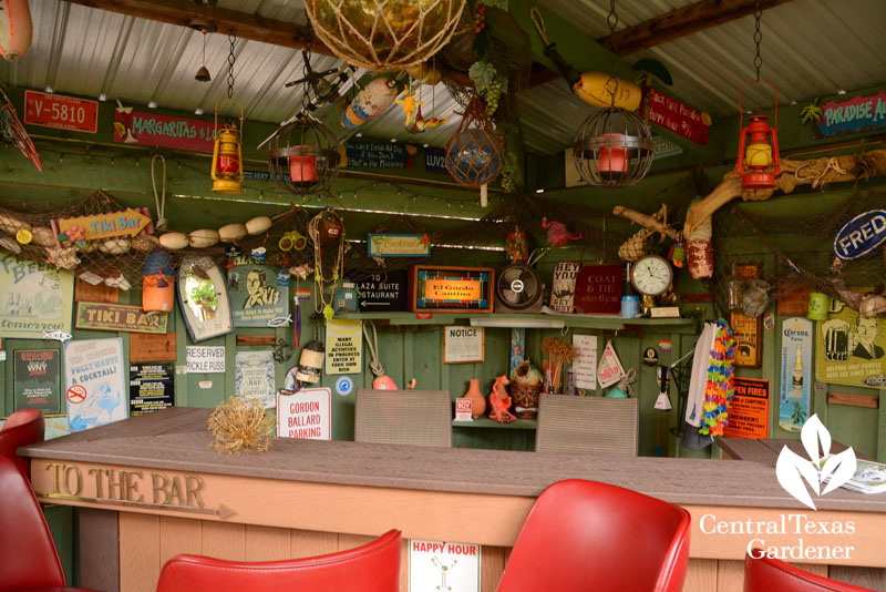 cute backyard bar in Buffalo Central Texas Gardener