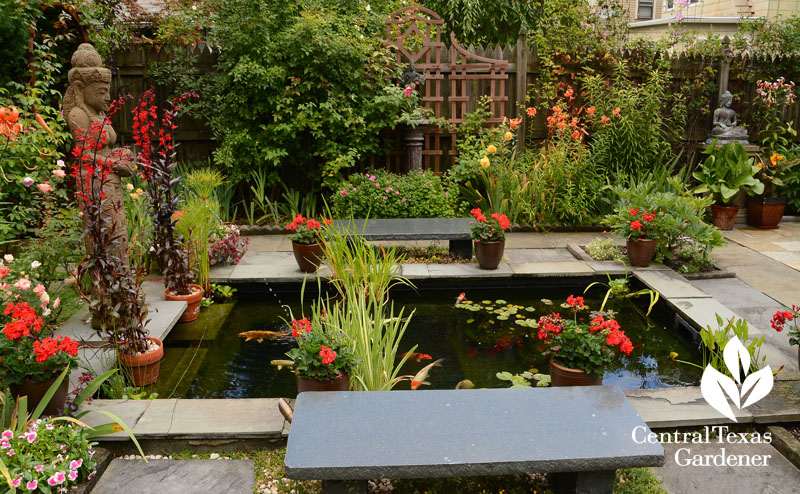 formal fish pond Buffalo color and benches Central Texas Gardener