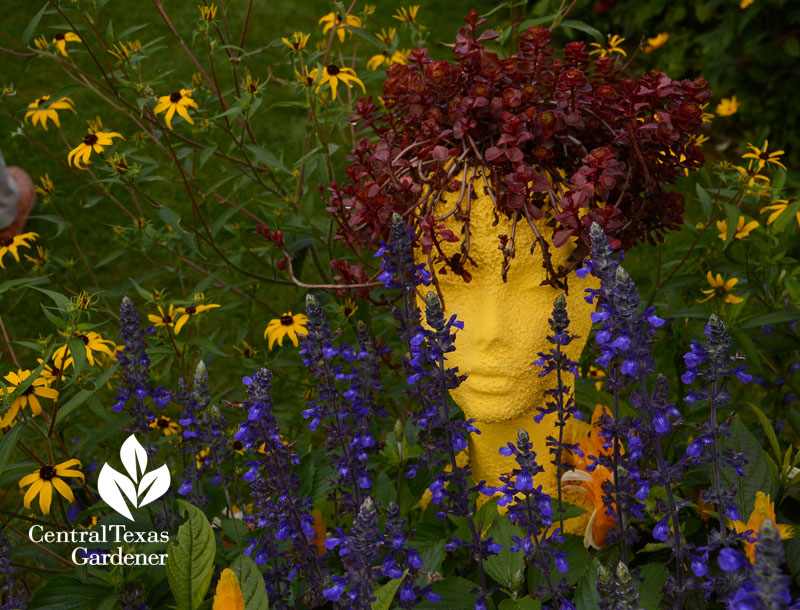 garden art yellow mannekin, salvia, rudbeckia Central Texas Gardener