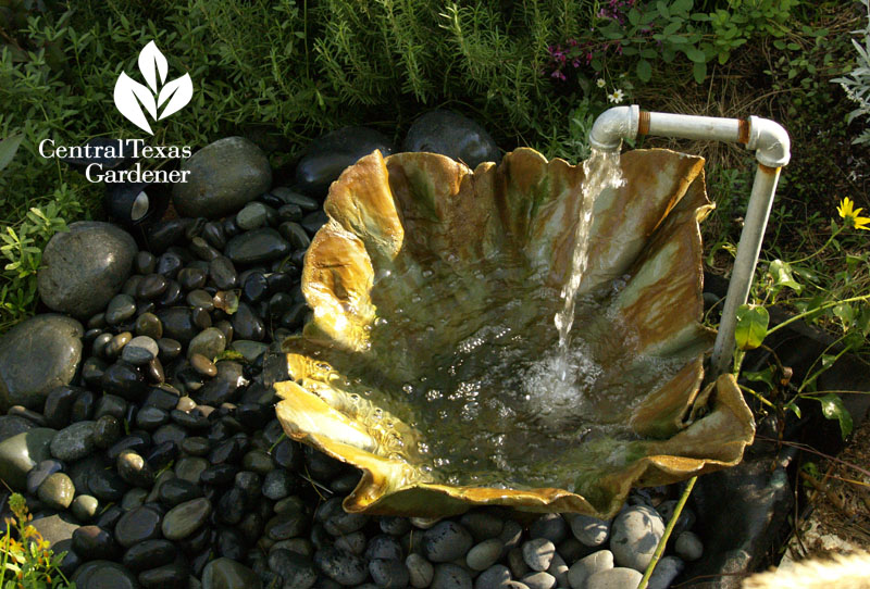 water, fountain, Lori Daul