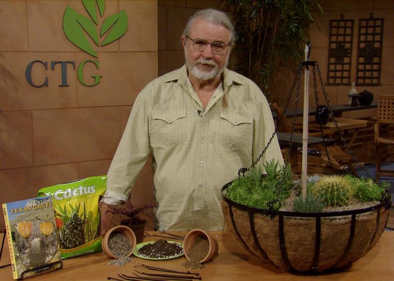 Cold hardy succulent hanging basket John Dromgoole Central Texas Gardener