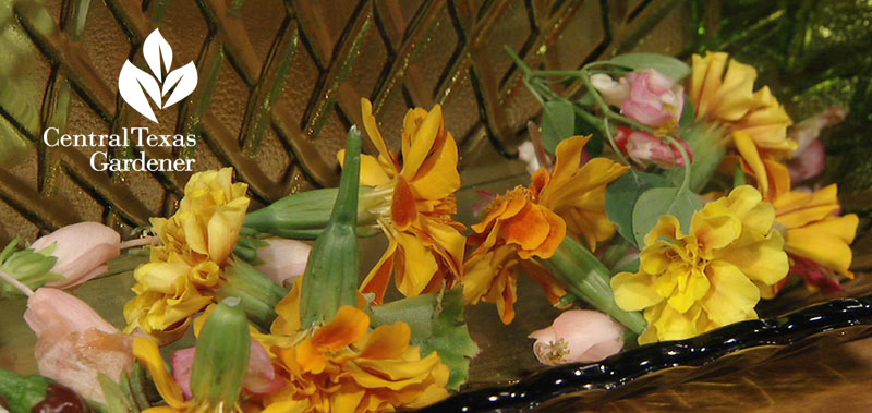 Marigolds and Turk's cap flowers for spring rolls Central Texas Gardener