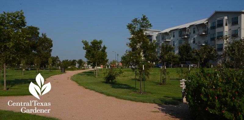 Mueller Food Forest trail Central Texas Gardener