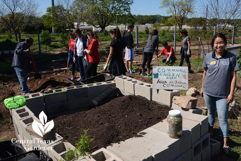 St. Ed students Festival Beach Community Garden Central Texas Gardener